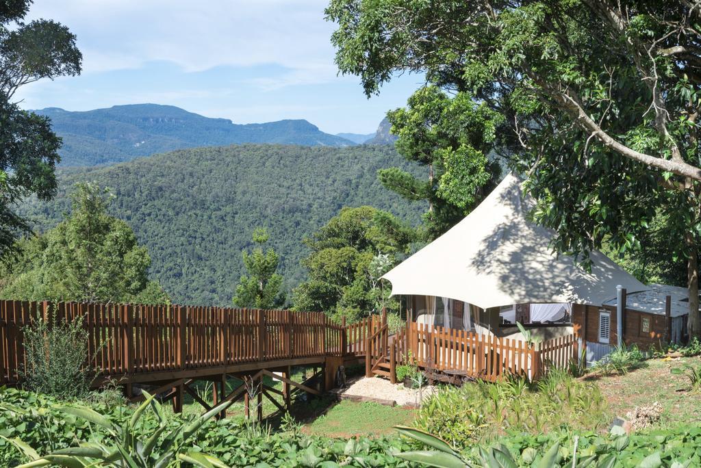 Luxury tent Clouds Safari Beechmont